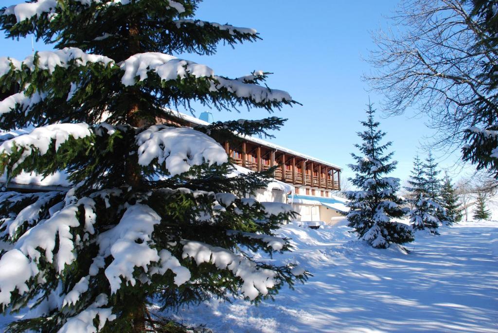 Hotel Le Grand Chalet Foncine-le-Haut Exterior photo